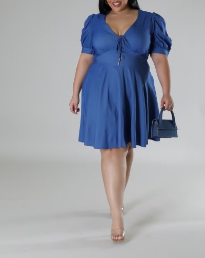 PLUS DENIM SS DRESS